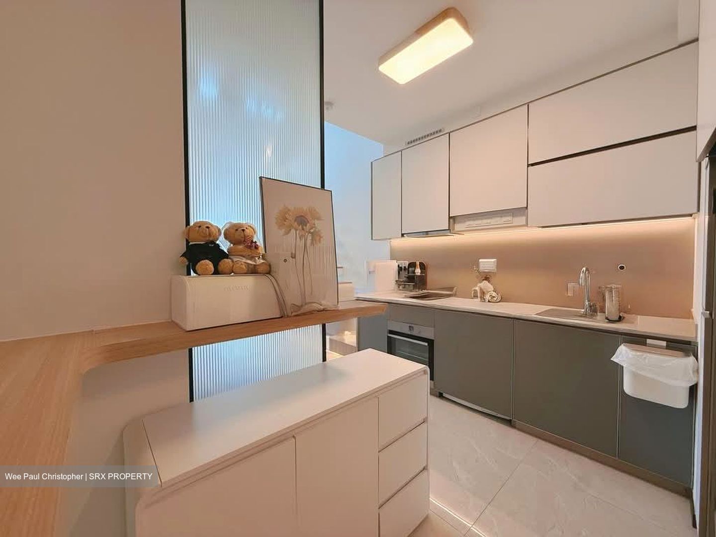 Normanton Park (D5), Apartment #587578281